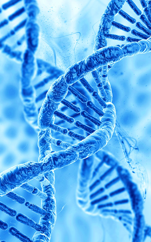 Anhua Bio PDRN өнімін шығарады: синтетикалық биологиямен тіндерді қалпына келтіру шикізатының жаһандық жеткізу тізбегін қайта құру